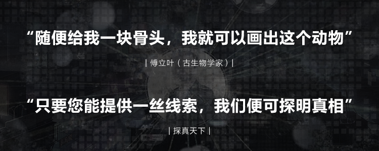 龙8-long8(国际)唯一官方网站